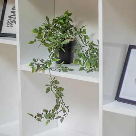 Διαμέρισμα Eagle's Nest -